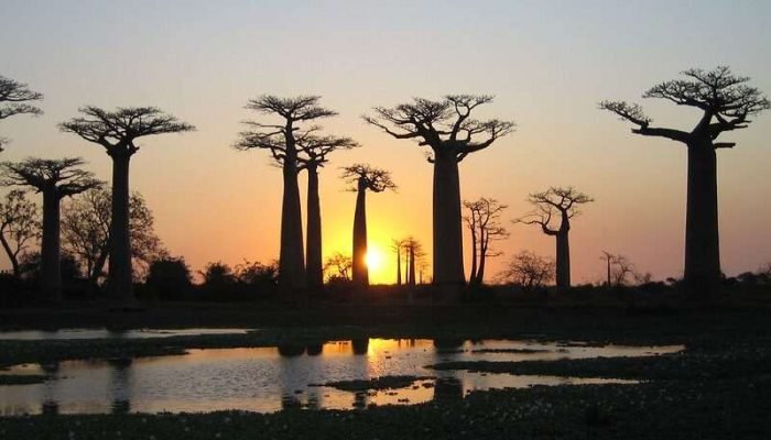 1747991554_5b97b24961_c