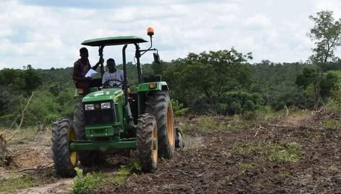 46189255154_6aa2fd6a1a_c