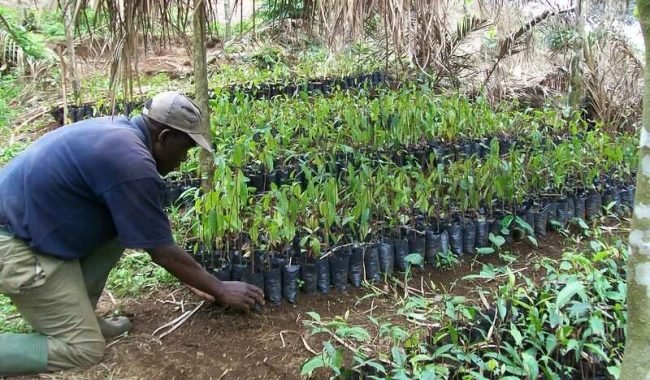 6972693010_0977e20e0b_c