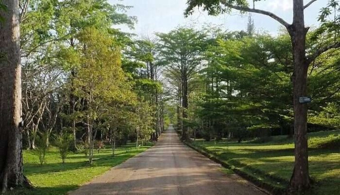 Entrée_du_jardin_Kisantu,_Bas-Congo Entrée_du_jardin_Kisantu,_Bas-Congo