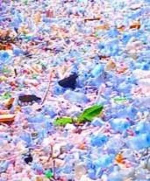 Pollution_plastique_2 Pollution_plastique_2