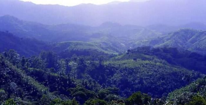 Rainforestmadagascar04 small